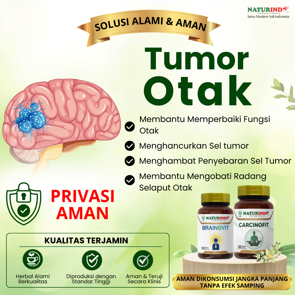 Obat Tumor Otak Meningitis Saraf Otak Ampuh