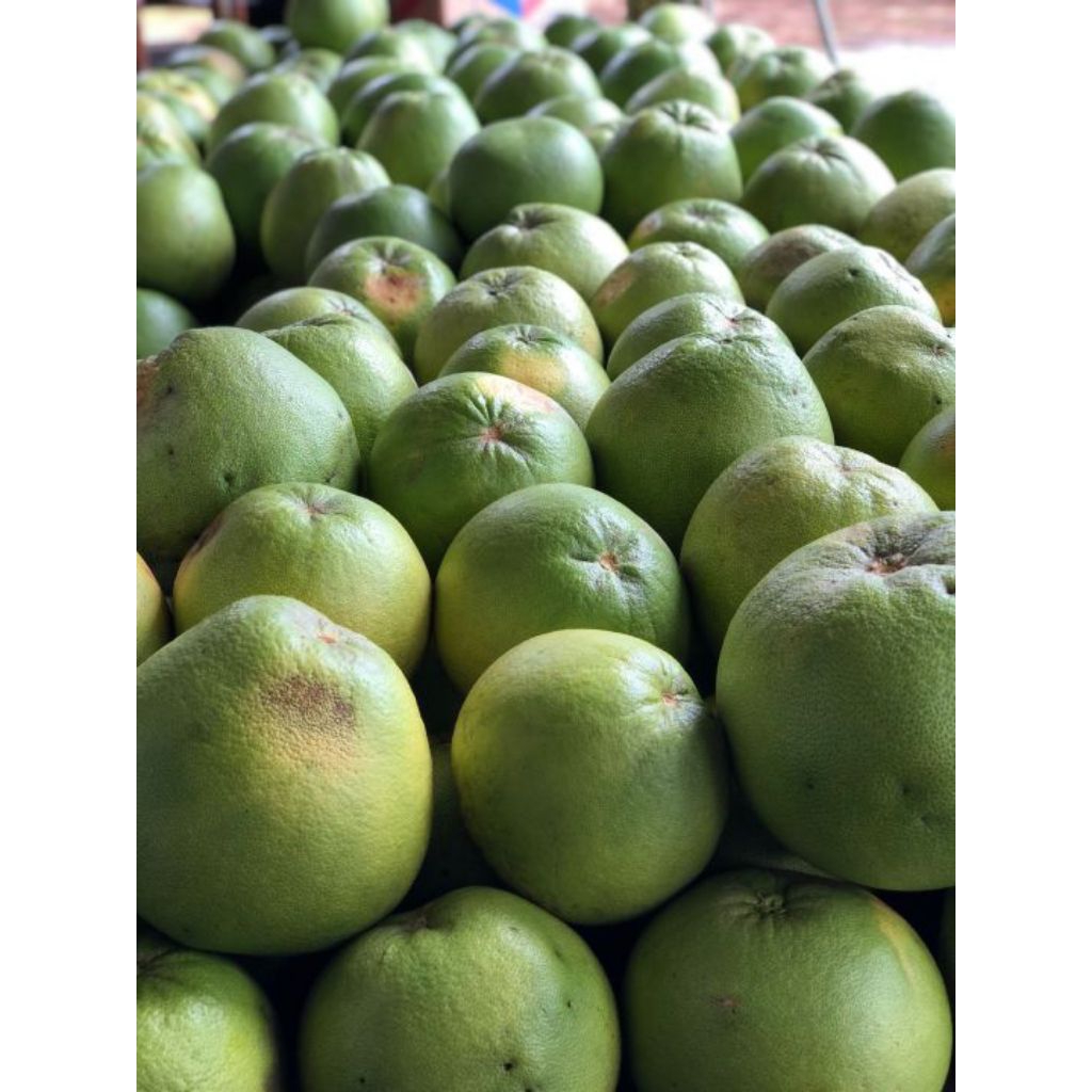jeruk pamelo madu manis 1000g-1100g