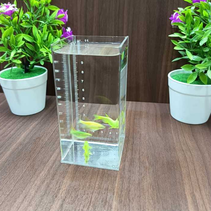 Akuarium 7x7x15 cm Custom pake Centi Meter Soliter Cupang Akrilik