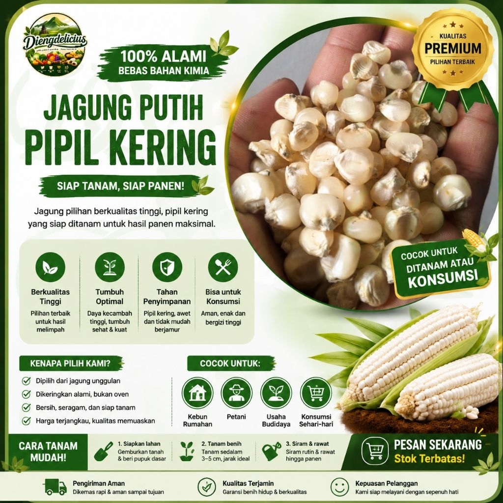 1kg jagung putih pipil kering bisa di tanam ataupun konsumsi