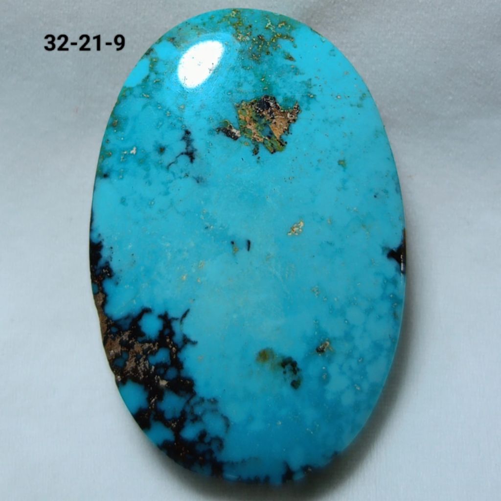 PIRUS PERSIA NATURAL WARNA BIRU