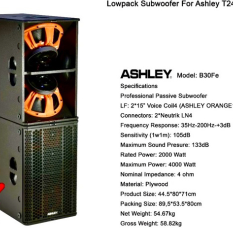 ASHLEY B30FE LOW PACK SUBWOOFER FOR T24N / TN24FS / SPEAKER ASHLEY LOWPACK B30FE SUBWOOFER / Speaker
