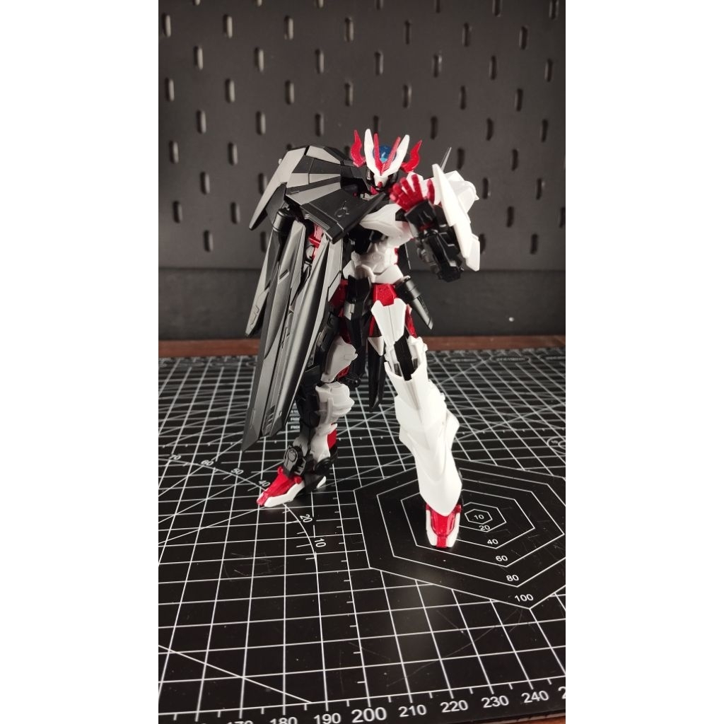 Astray no name tiger model hg repaint 1/144 sudah rakit no lem no patah