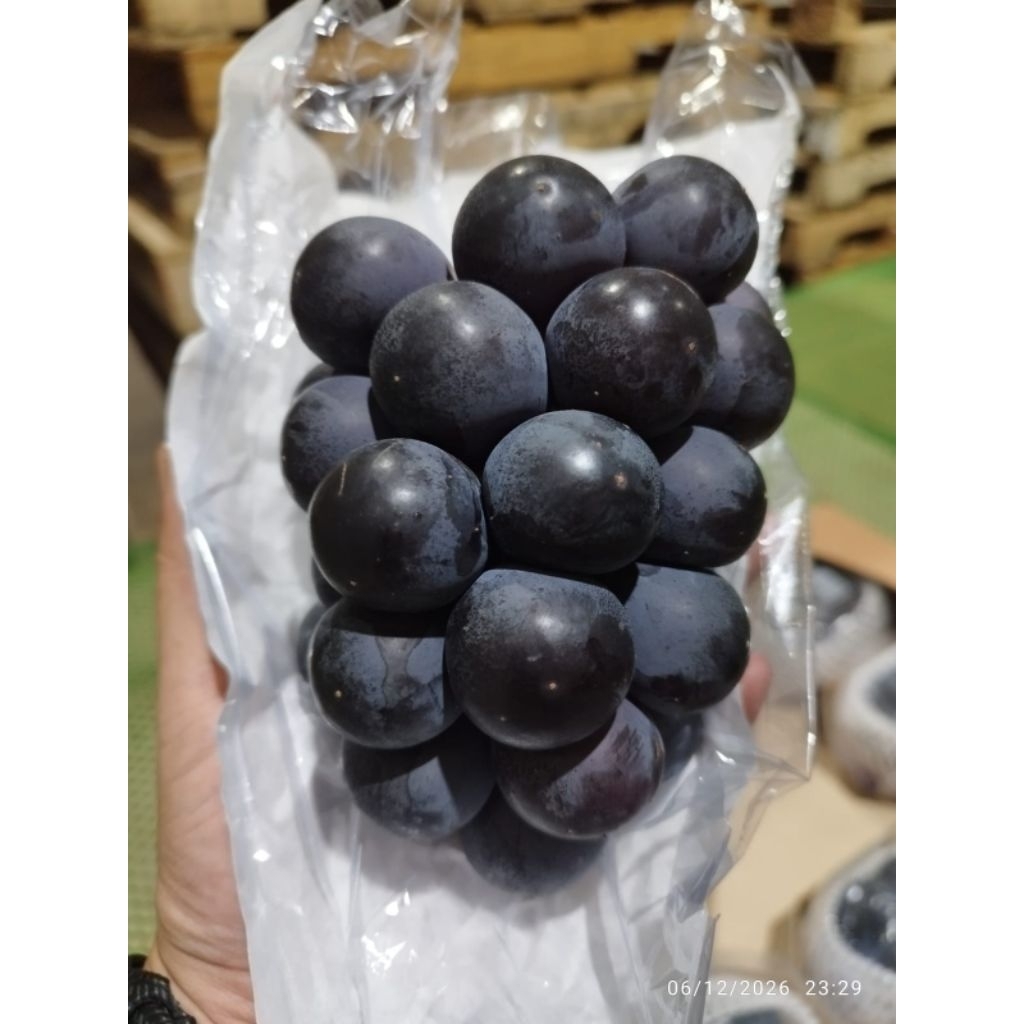 Buah Anggur Kyoho Premium Korea 1 Dus