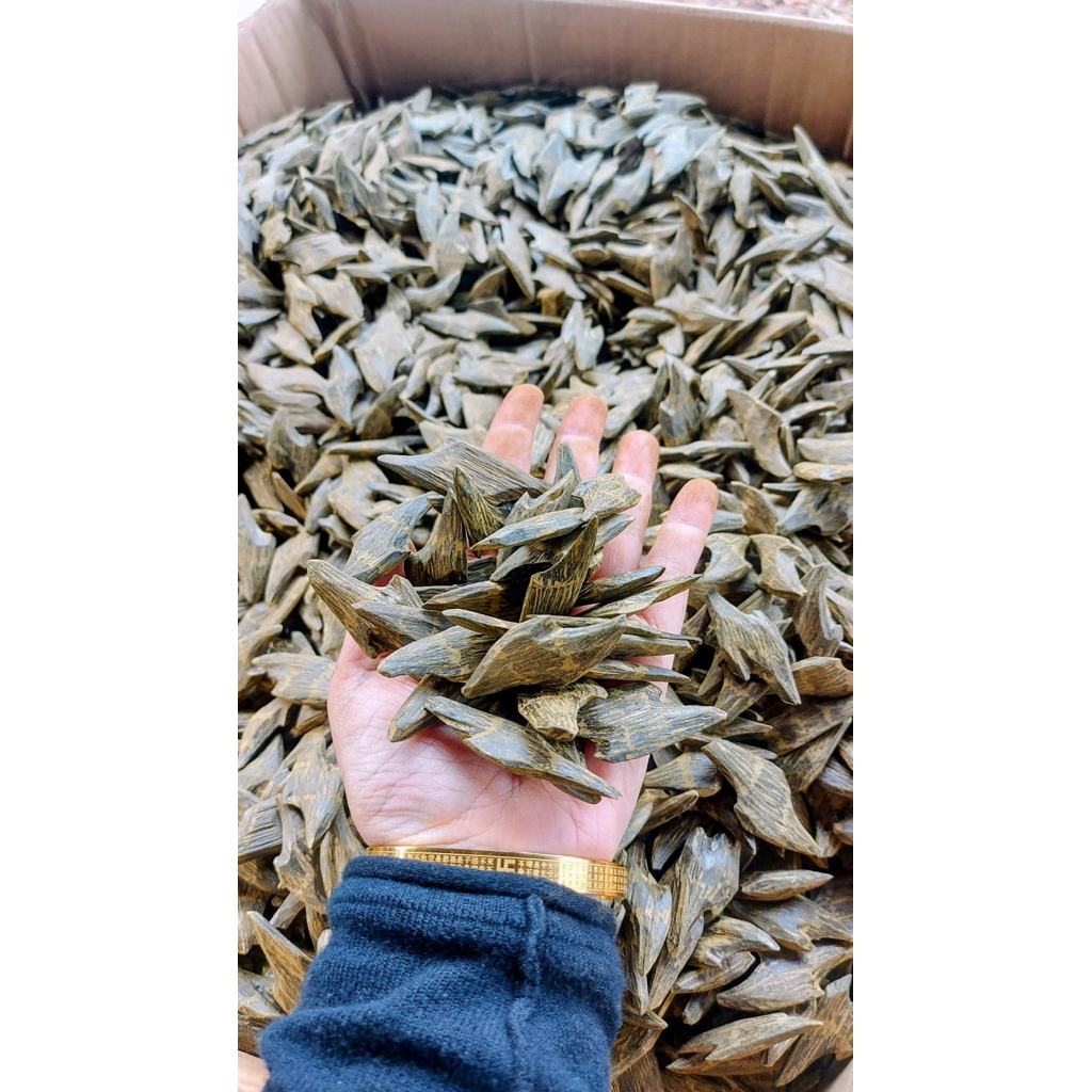 Tiger oud / gaharu /isi 100gr / oud pure/aroma terapi