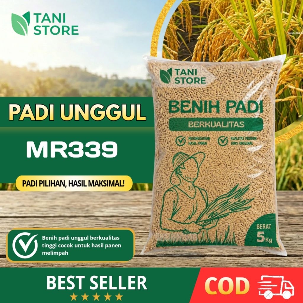 Benih padi unggul original jenis MR 339 kemasan 5kg