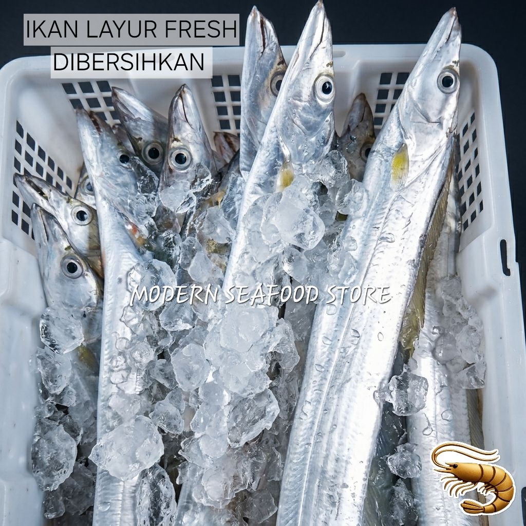 ikan layur ikan johor fresh ukuran besar dibersihkan