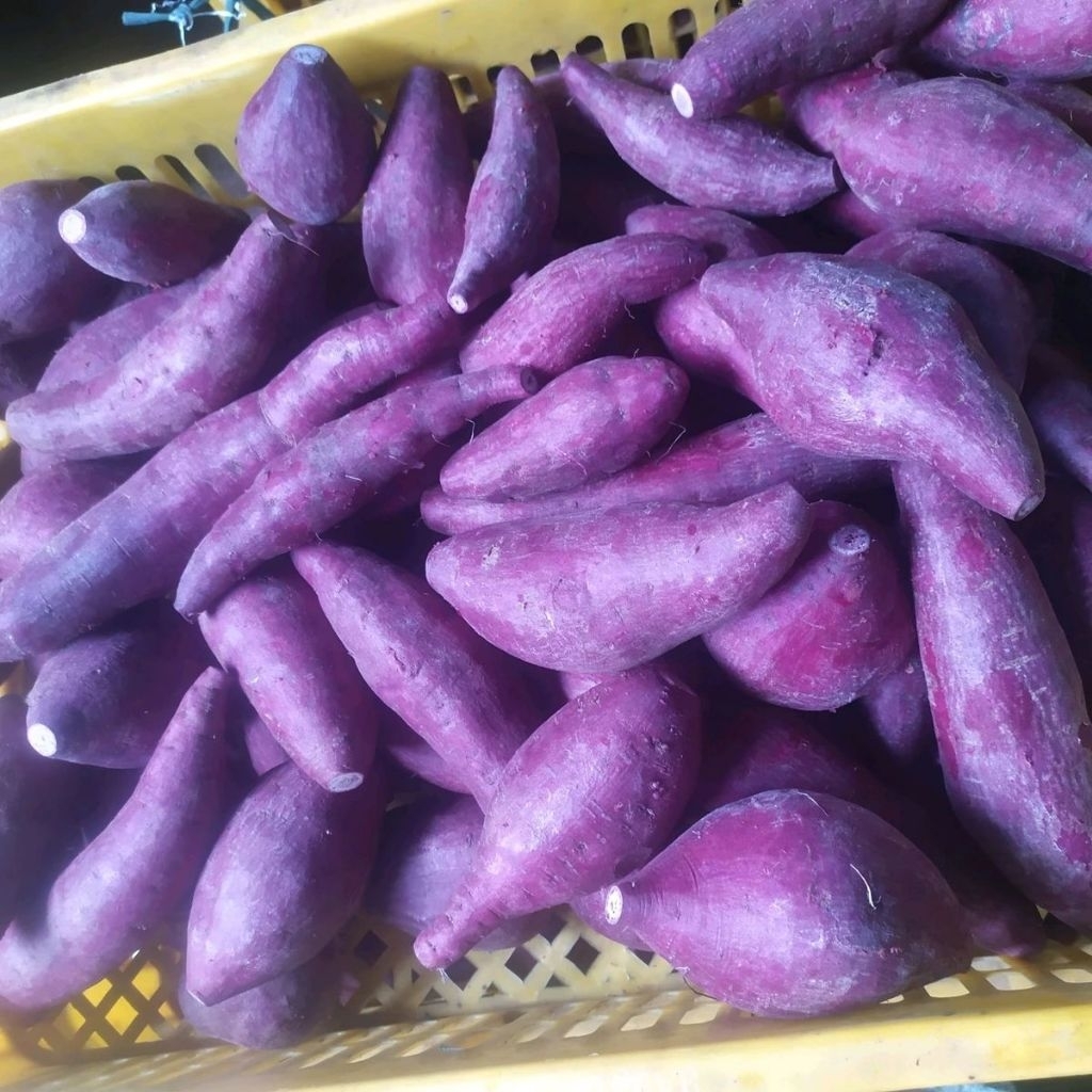 ubi ungu 1kg Cilembu Sumedang