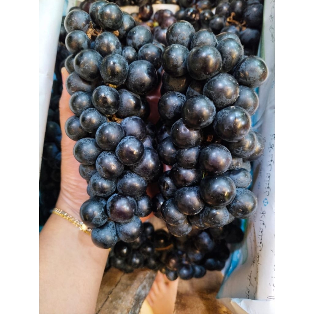 ANGGUR BALI MANIS ASEM SEGER (berat 1kg)