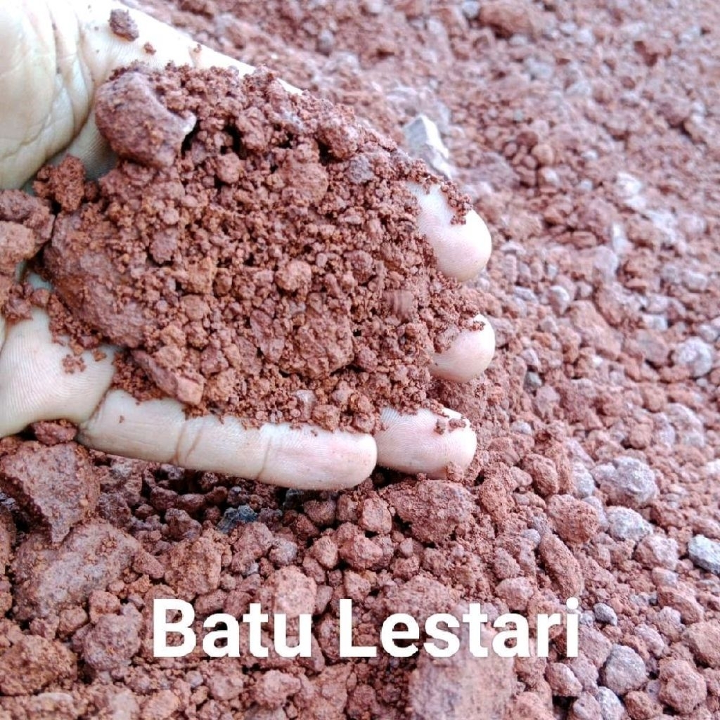 SIRTU MERAH URUG