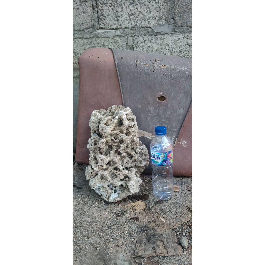 batu karang laut