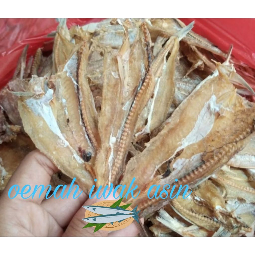 ikan bloso tawar 500 gram/ikan asin bloso tawar