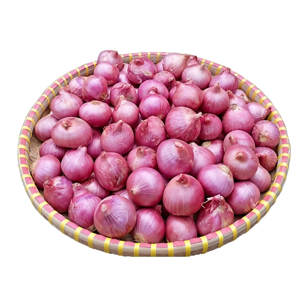Bawang Merah india