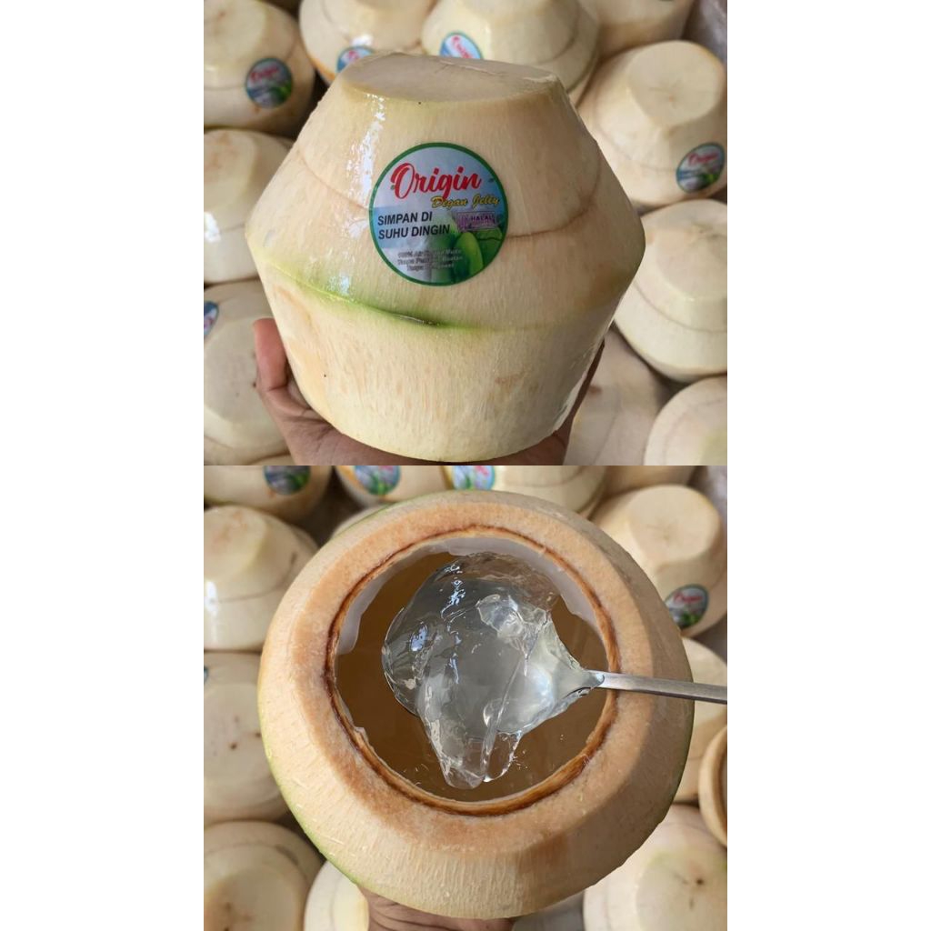 DEGAN JELLY | KELAPA MUDA