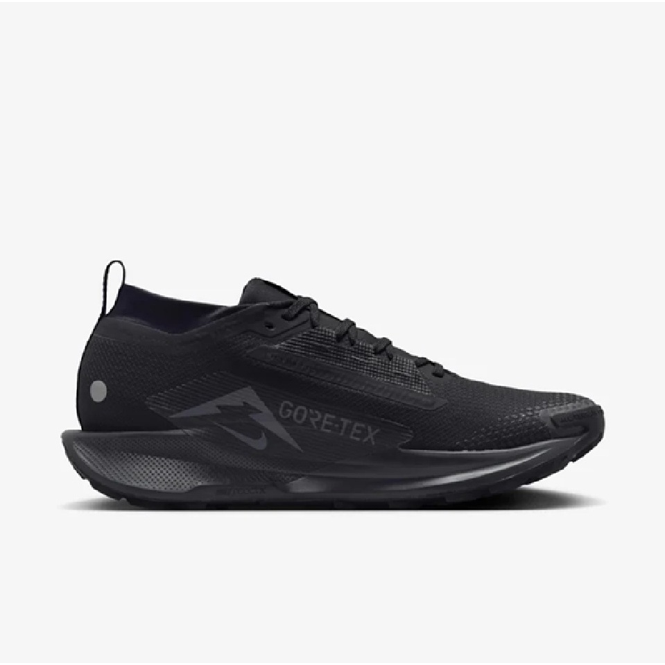 Nike Pegasus Trail 5 GORE-TEX Outdoor Shoes Black ORIGINAL