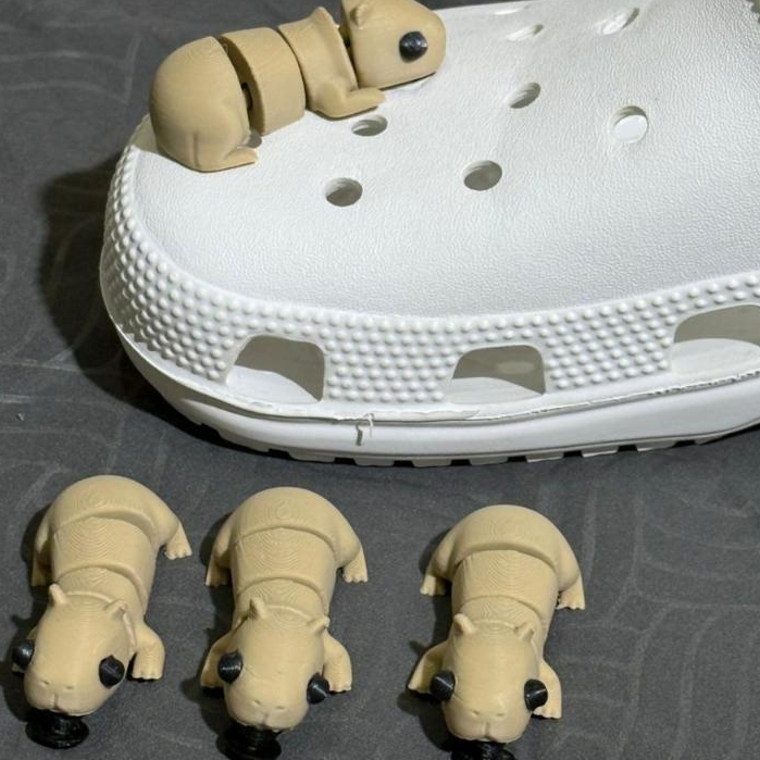 Pin Sandal Kapibara Uget Uget Geol Geol Isi 2 Pcs Aksesoris Sandal Crocs Baim Lucu