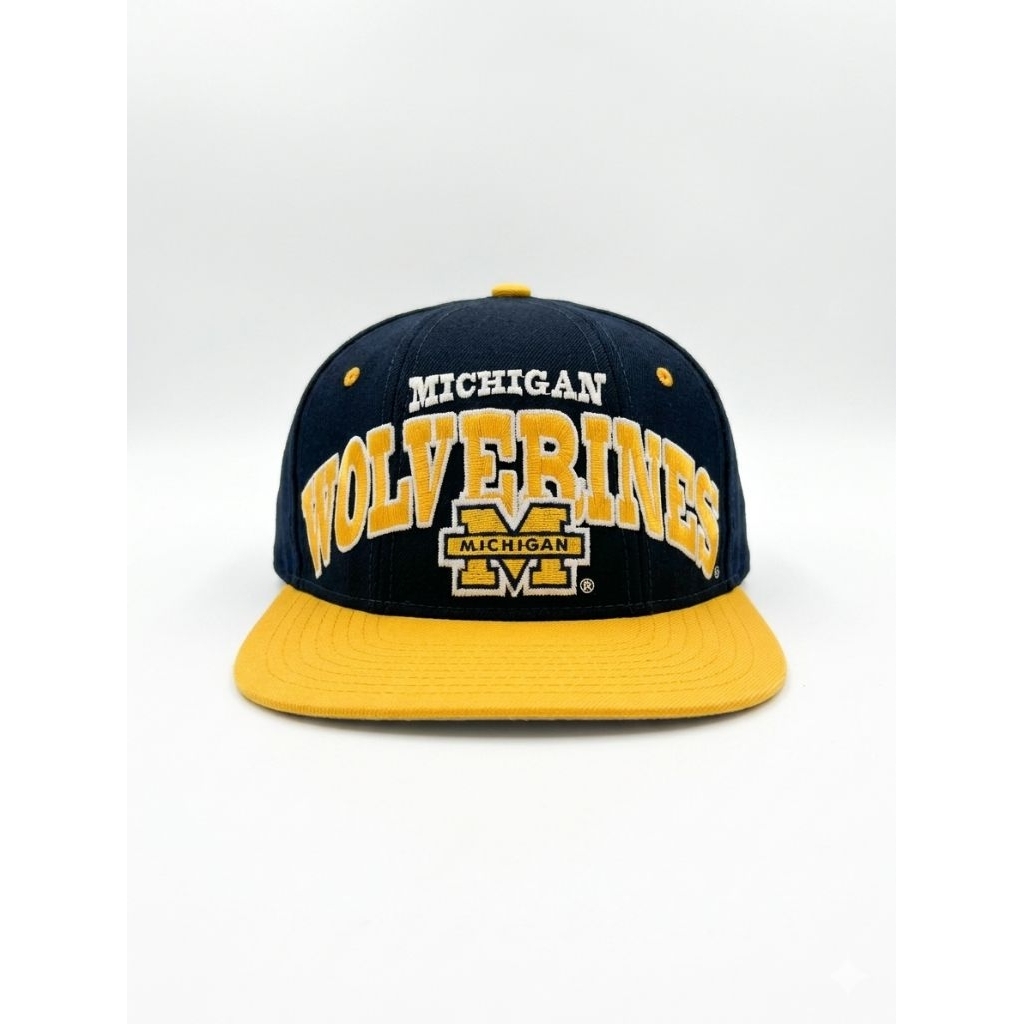 Vintage Michigan Wolverines Starter Snapback Hat Cap 90s NCAA Sports Sewn Blue