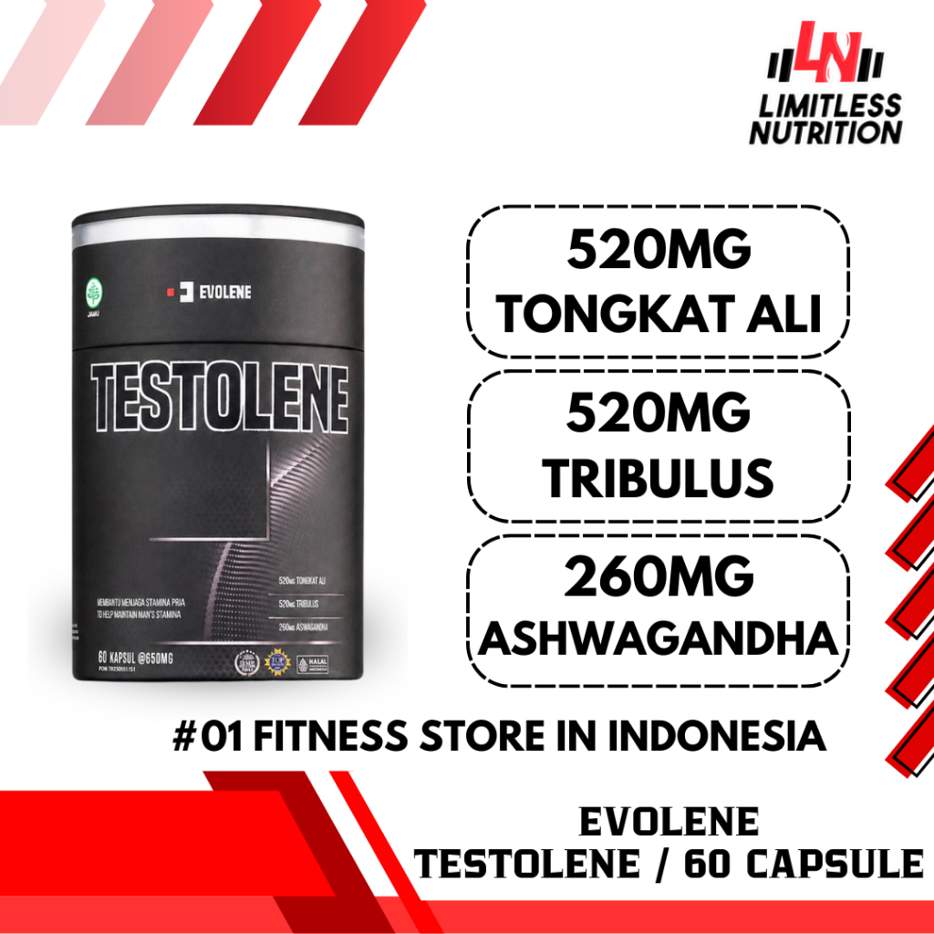 Evolene Testolene Testosterone Booster Suplemen Fitness Natural Testo Boost BPOM Halal