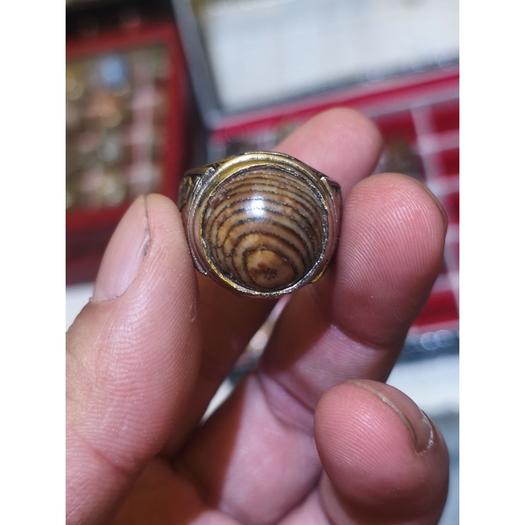 Cincin Batu Akik Jipen