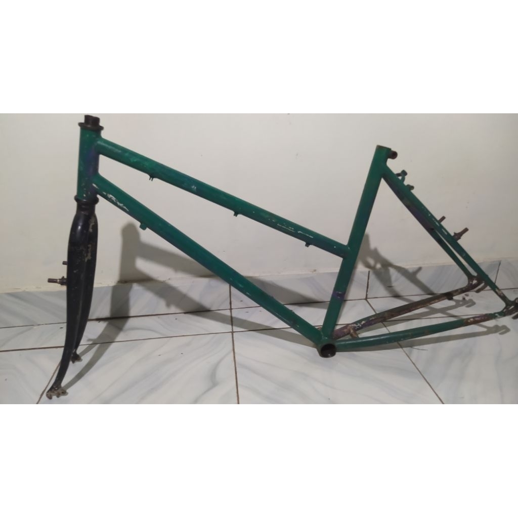 frame fork federal lady