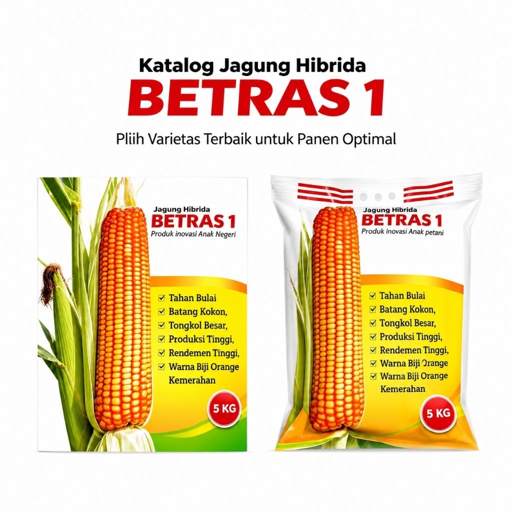 BENIH JAGUNG HIBRIDA TERMURAH UNGGUL BETRAS1 KEMASAN 5KG/BIBIT JAGUNG HIBRIDA BETRAS1