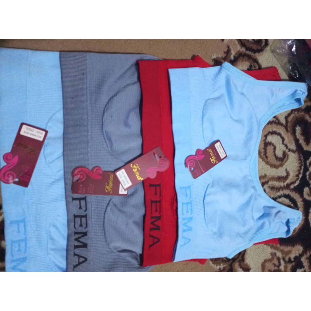 Mini set Wanita Fema BH Wanita Remaja Ready
