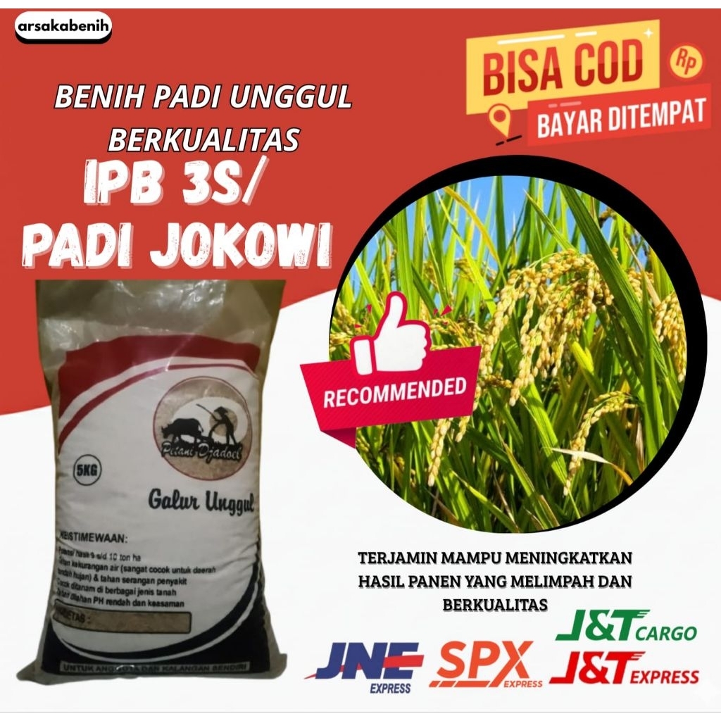 benih padi unggul IPB 3S/ PADI JOKOWI premium 5kg