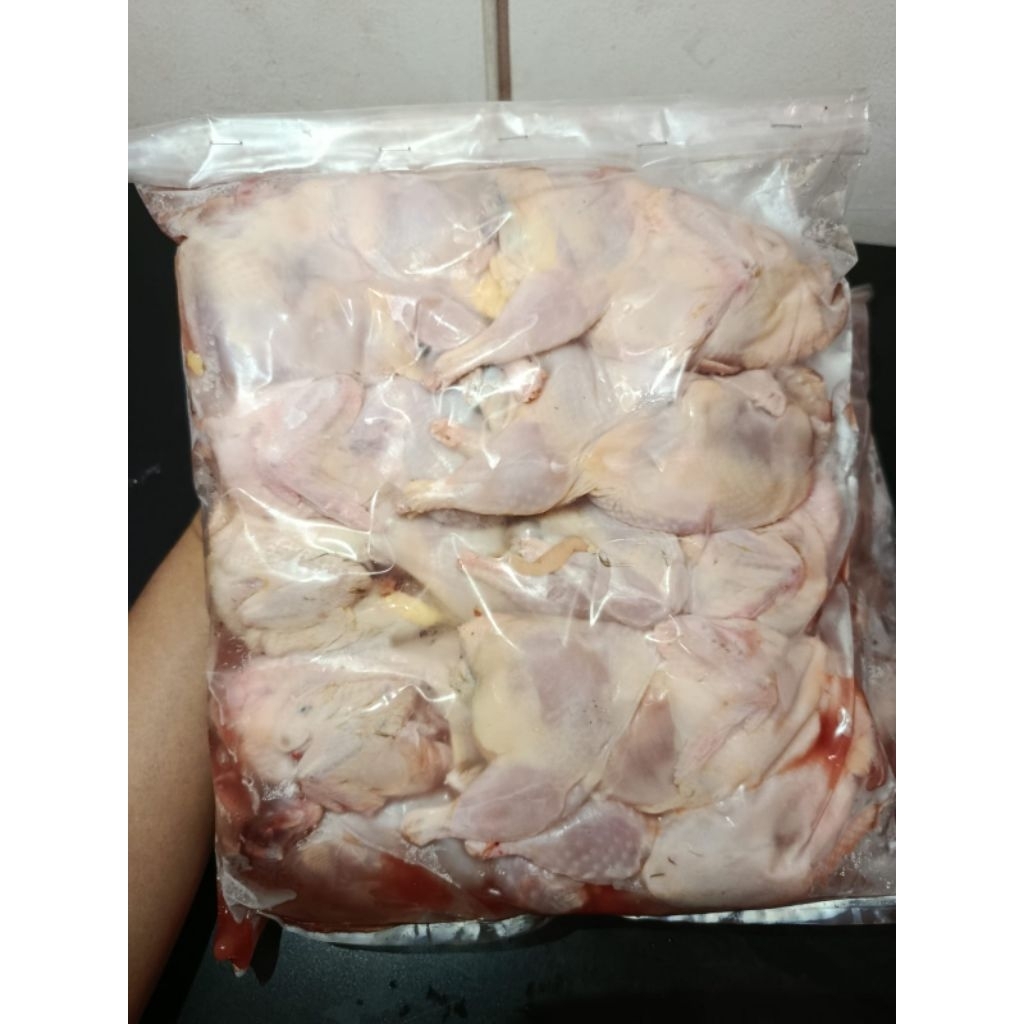 (PWKERTO)  Burung Puyuh Karkas, 10 ekor/pack