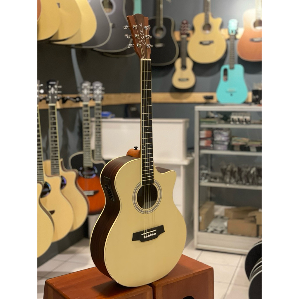 Gitar cole clark Akustik elektrik