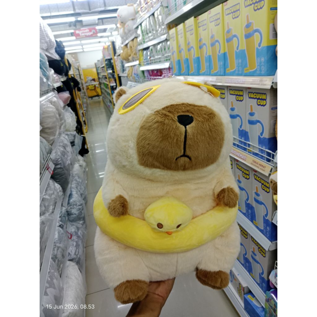 Boneka Capybara mr diy size 20cm