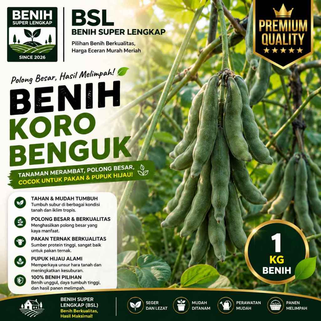 ( 1 Kg ) Benih Biji LCC Koro Benguk | Mucuna Cochinchinensis | UKI BIBIT