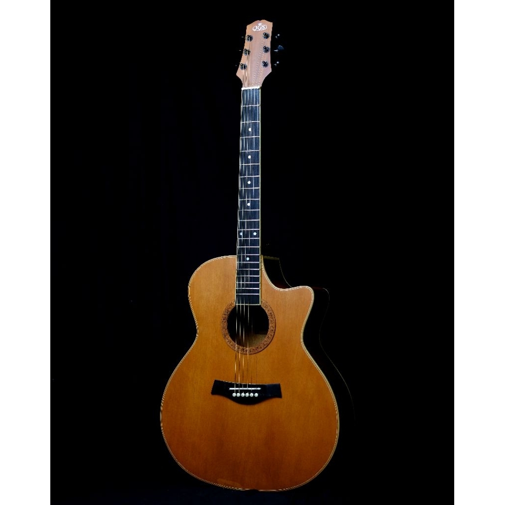 GITAR AKUSTIK/AKUSTIK ELEKTRIK JGS GUITAR TL-01 NS