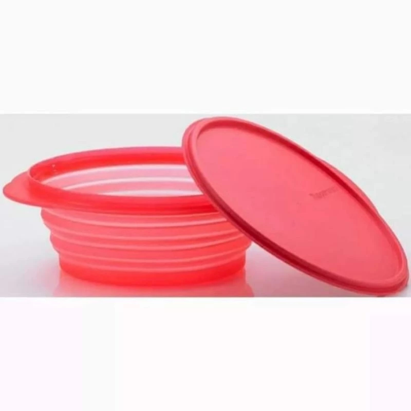 GoFlex Pink Lingkar Tupperware