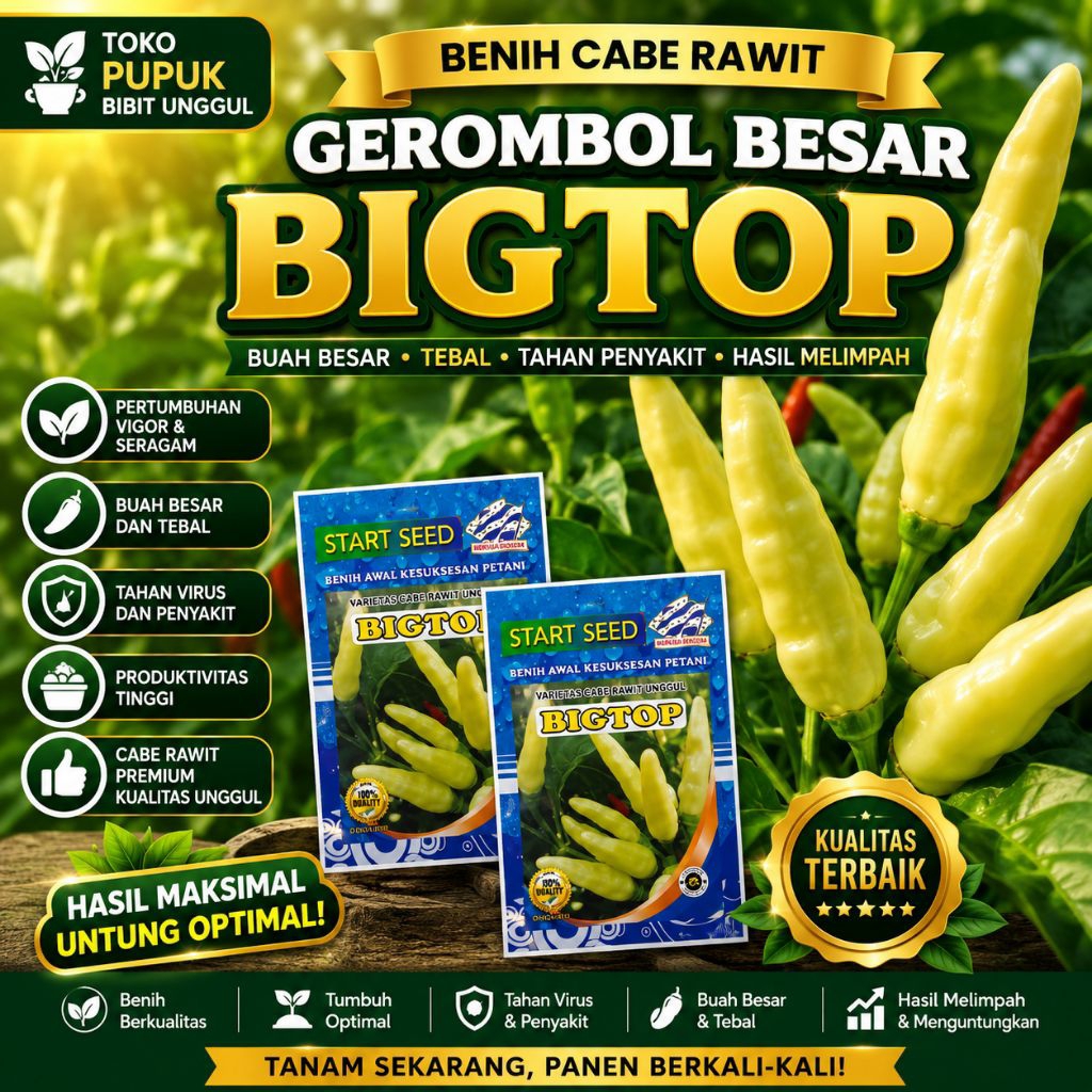 Terlaris Benih cabe rawit unggul Bibit Cabe Rawit Unggul Bibit Cabe Kaliber Unggul Tahan Virus Benih