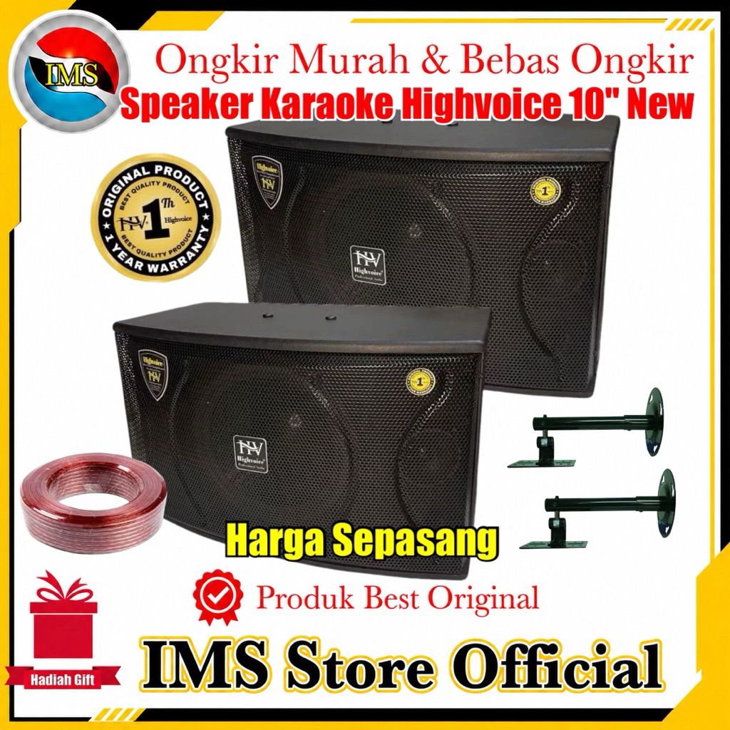 speaker salon 10inch  sound Room Musik karaoke Highvoice Voyager 10 pro Original sound