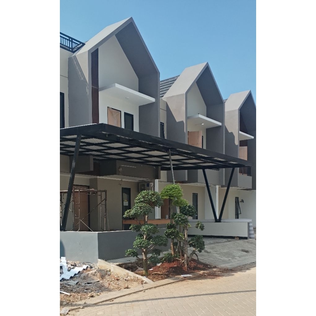 Dekorasi taman Bonsai beringin dolar & Bonsai serut (Gratis rumput+nanem)