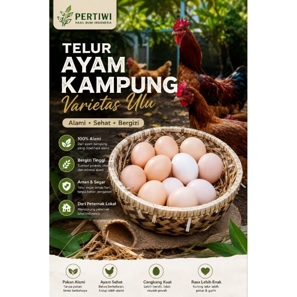 Telur Ayam kampung varietas Ulu telur segar telur sehat 5/10/20/30 butir