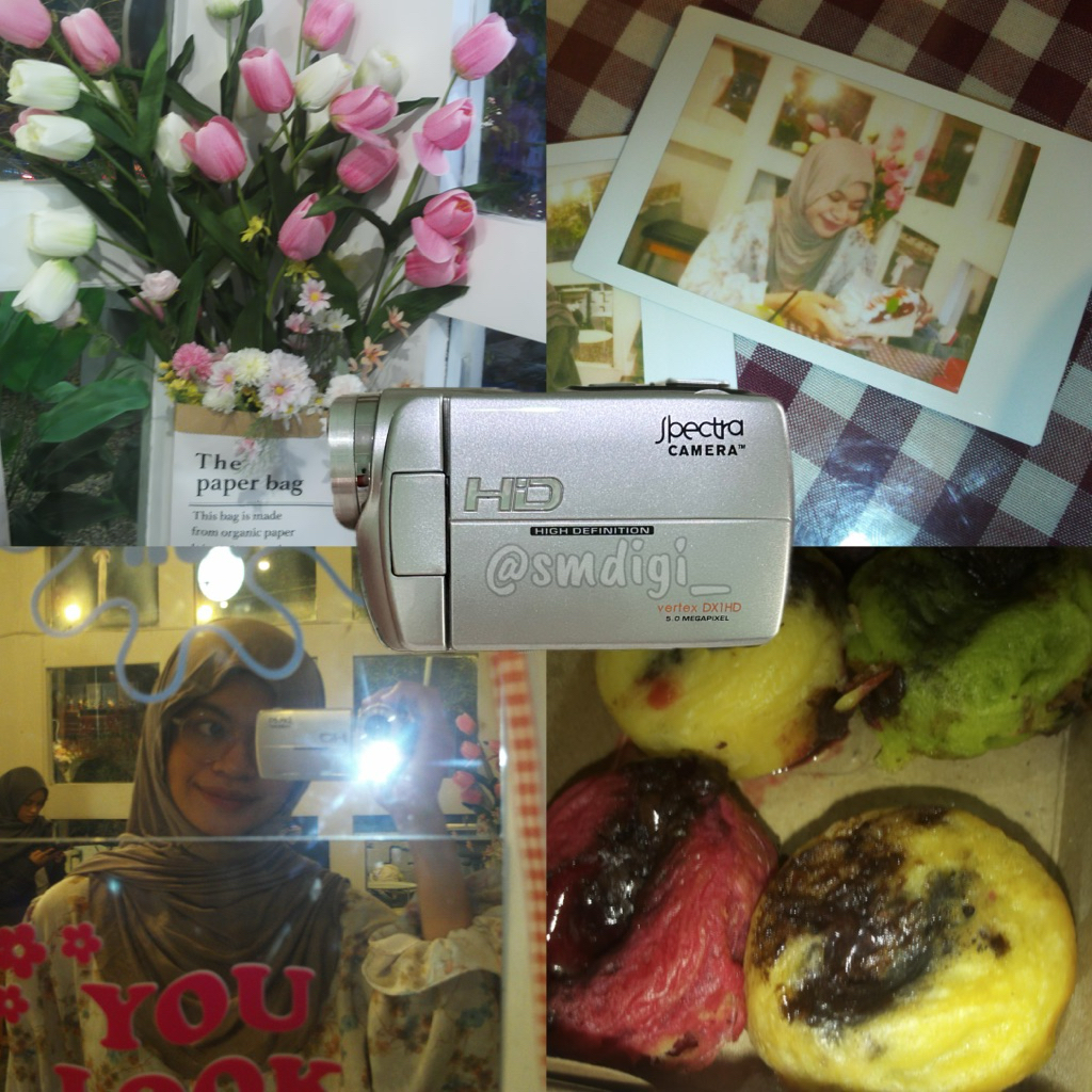 Handycam Spectra Vertex DX1HD