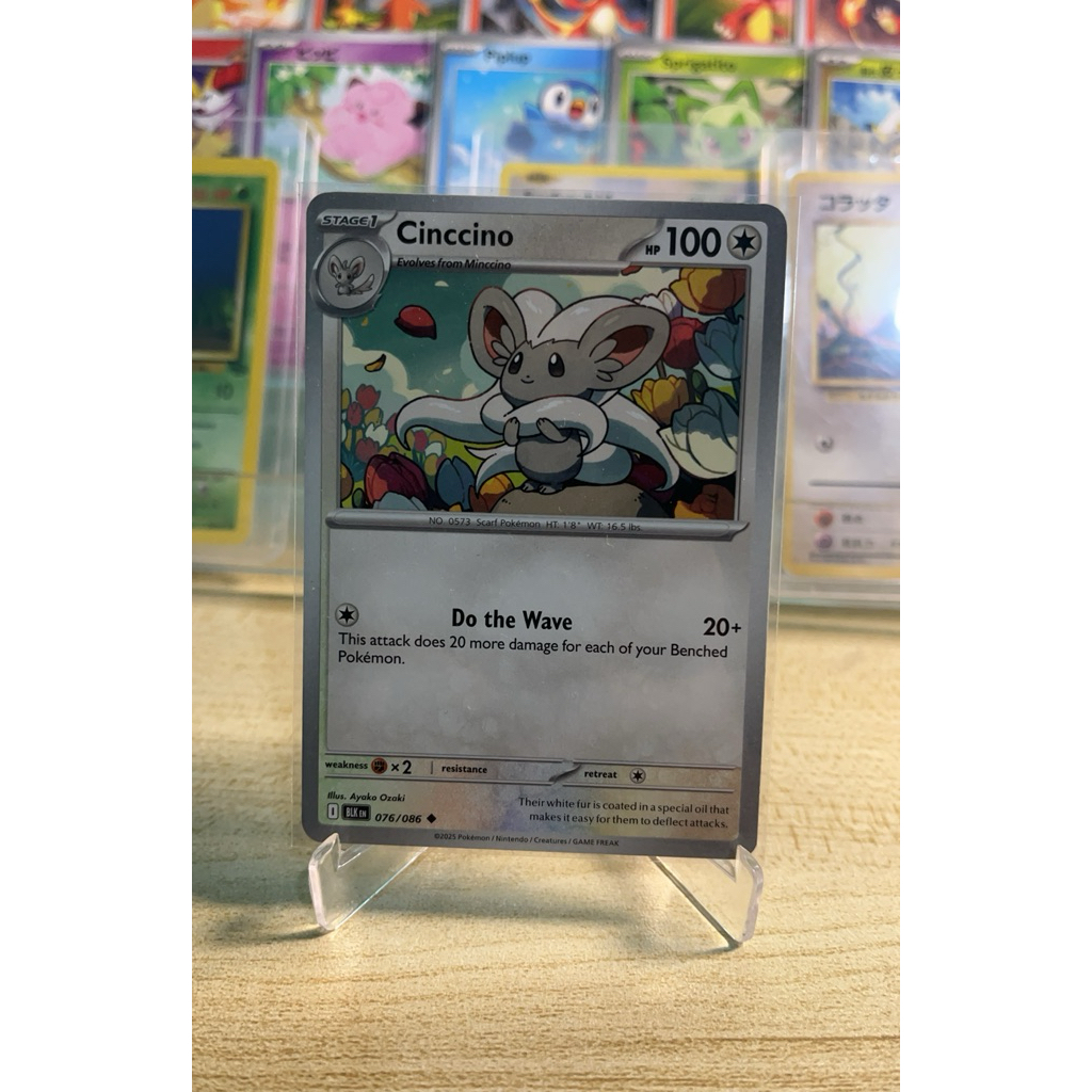 CINCCINO - BLK EN 076/086