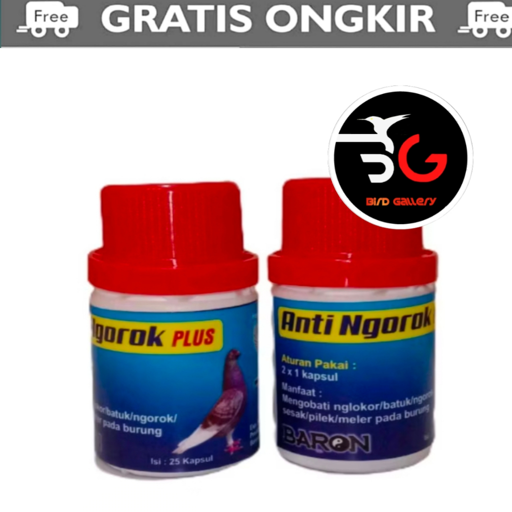 BARON ANTI NGOROK MENGOBATI NGOROK BURUNG MERPATI