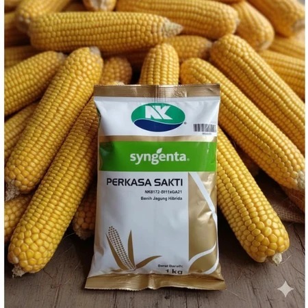 Benih bibit jagung NK Perkasa Sakti 1 Kg nk syngenta jagung hibrida