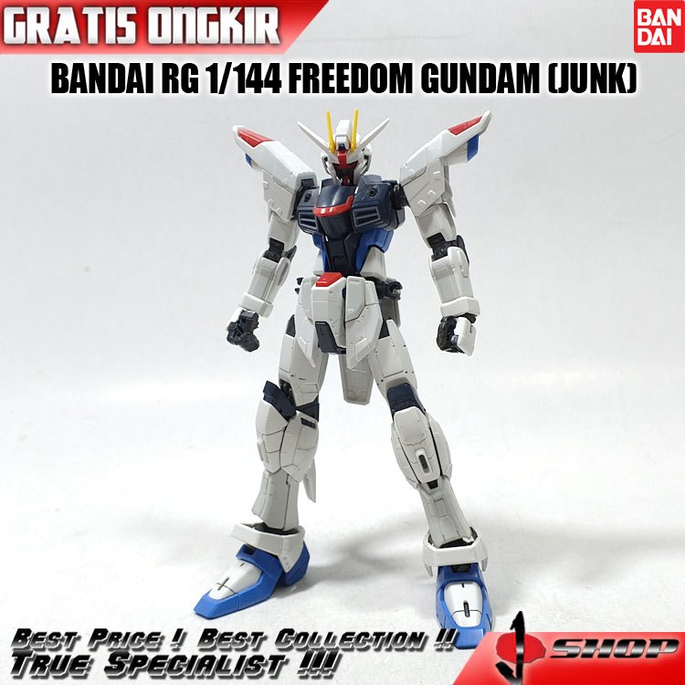 BANDAI RG 1/144 FREEDOM GUNDAM (JUNK) RG437
