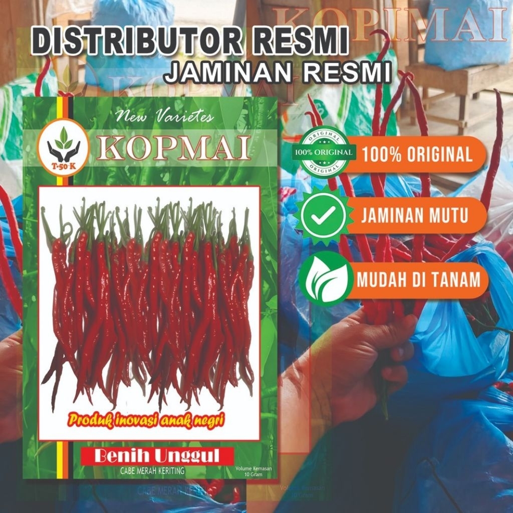 Jual Bibit Unggul Cabe Berkualitas KOPMAI/Cabe Berkualitas Super/Cabe nomor Satu/Cabe Kualitas Bagus