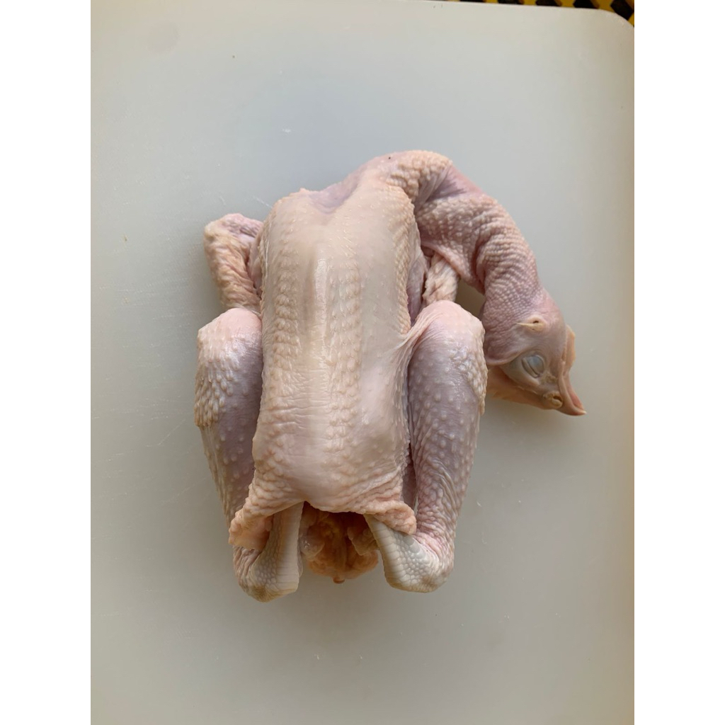 Ayam Pejantan Fresh