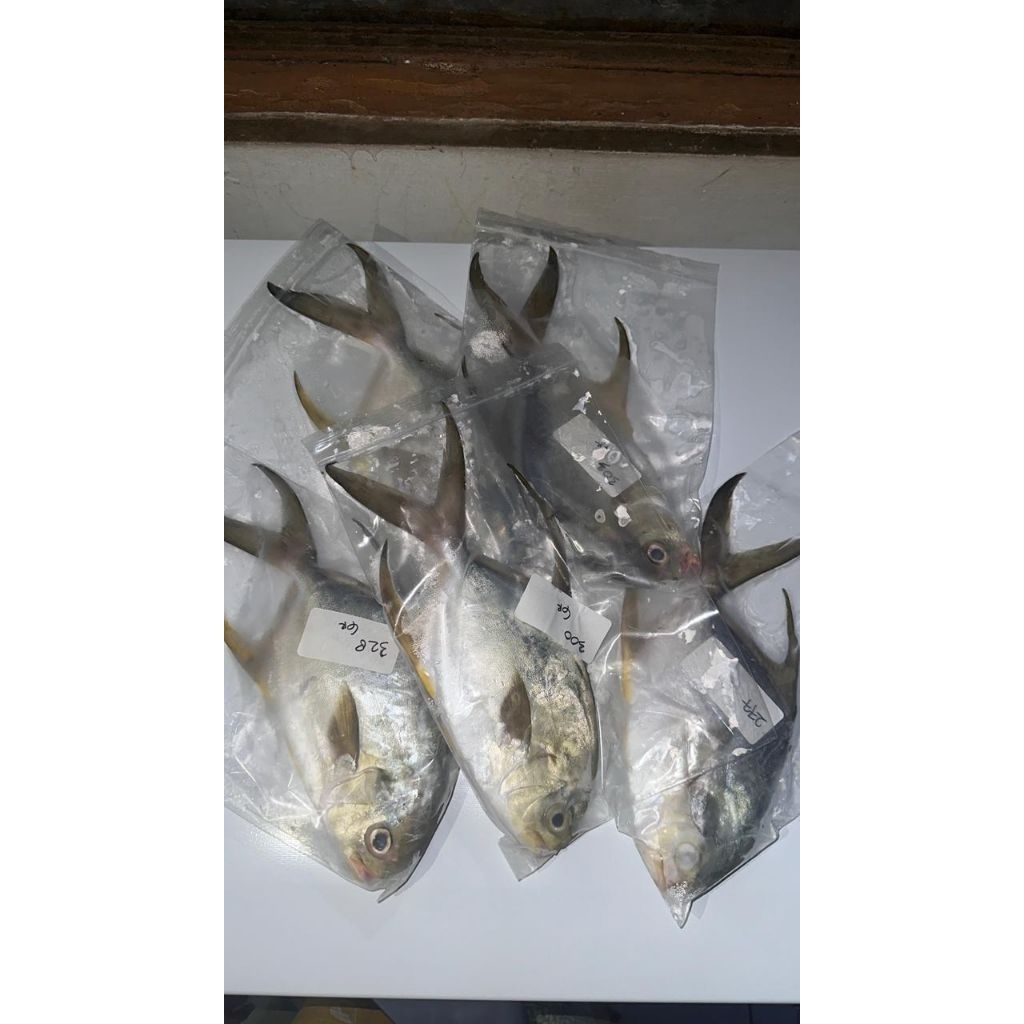 Bawal Bintang Fresh