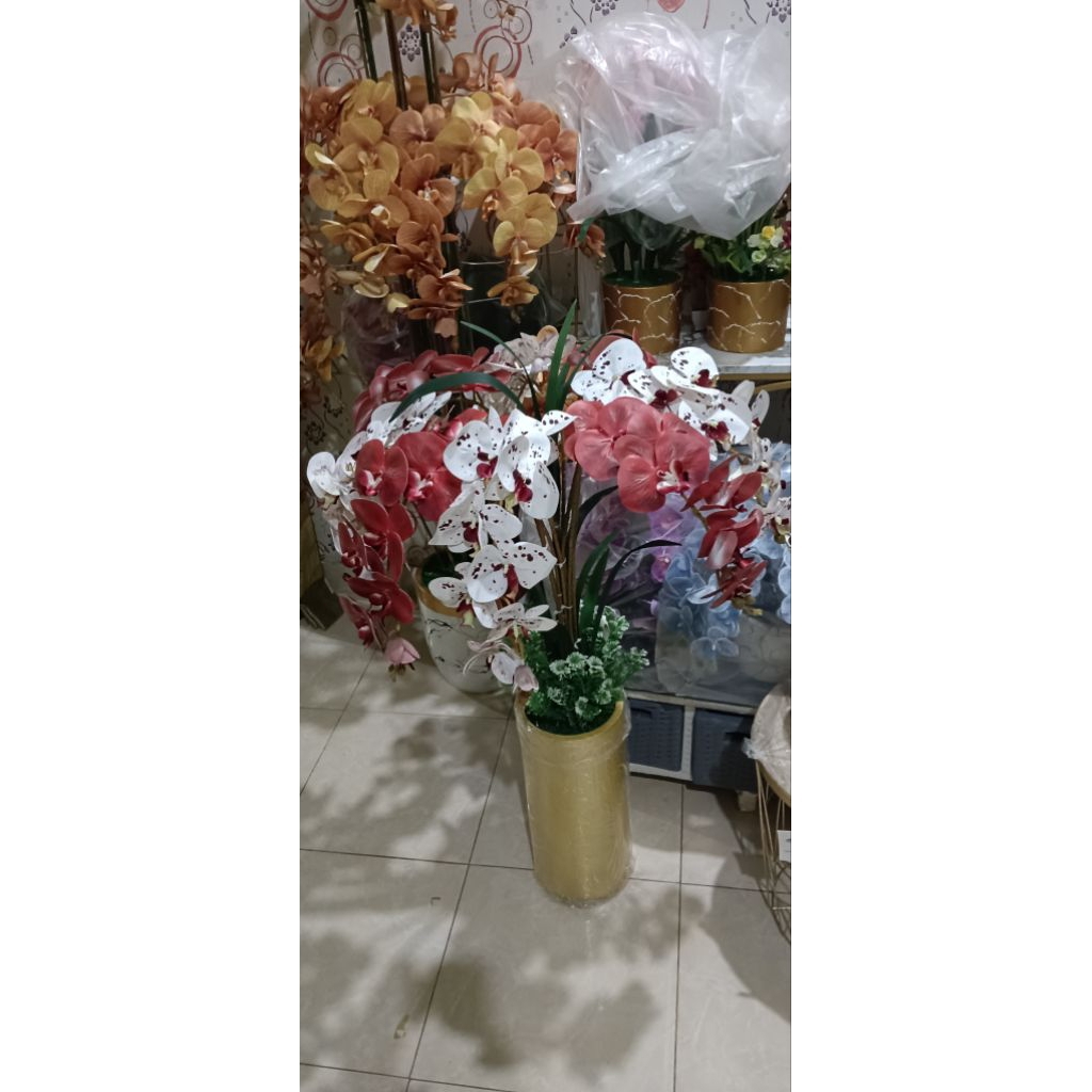 Bunga anggrek sudut