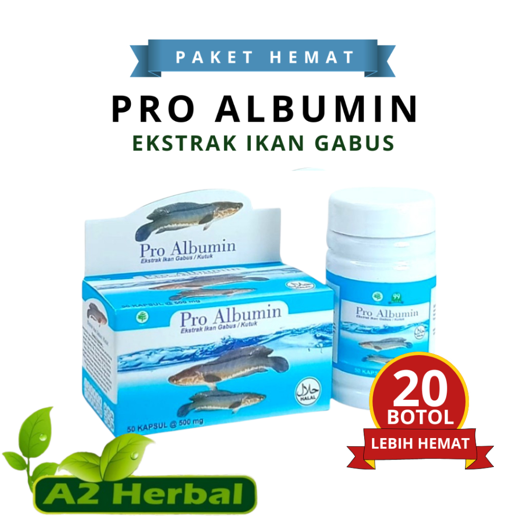 Albumin Ekstrak Ikan Gabus | Pro Albumin Ashihah Paket 20 Botol