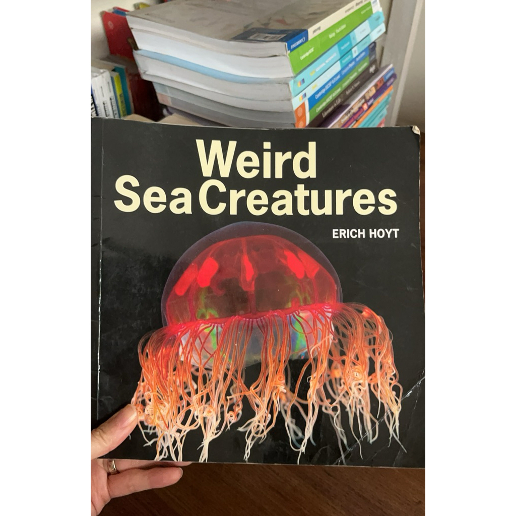 Weird sea creatures