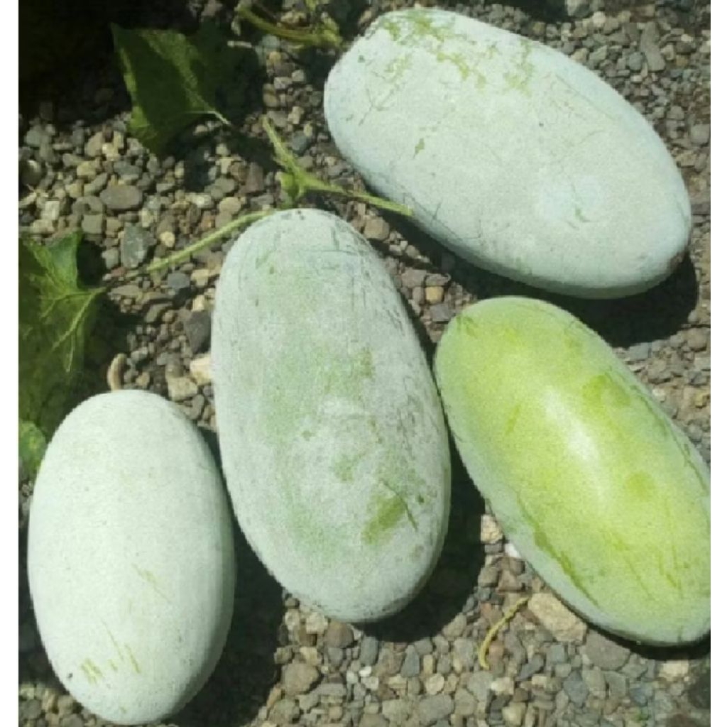 buah baliho segar 2kg