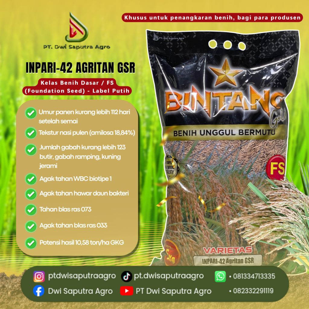 Benih Padi Cap Bintang Gold Varietas "Inpari-42 Agritan GSR" Kelas Benih Dasar / FS (Foundation Seed